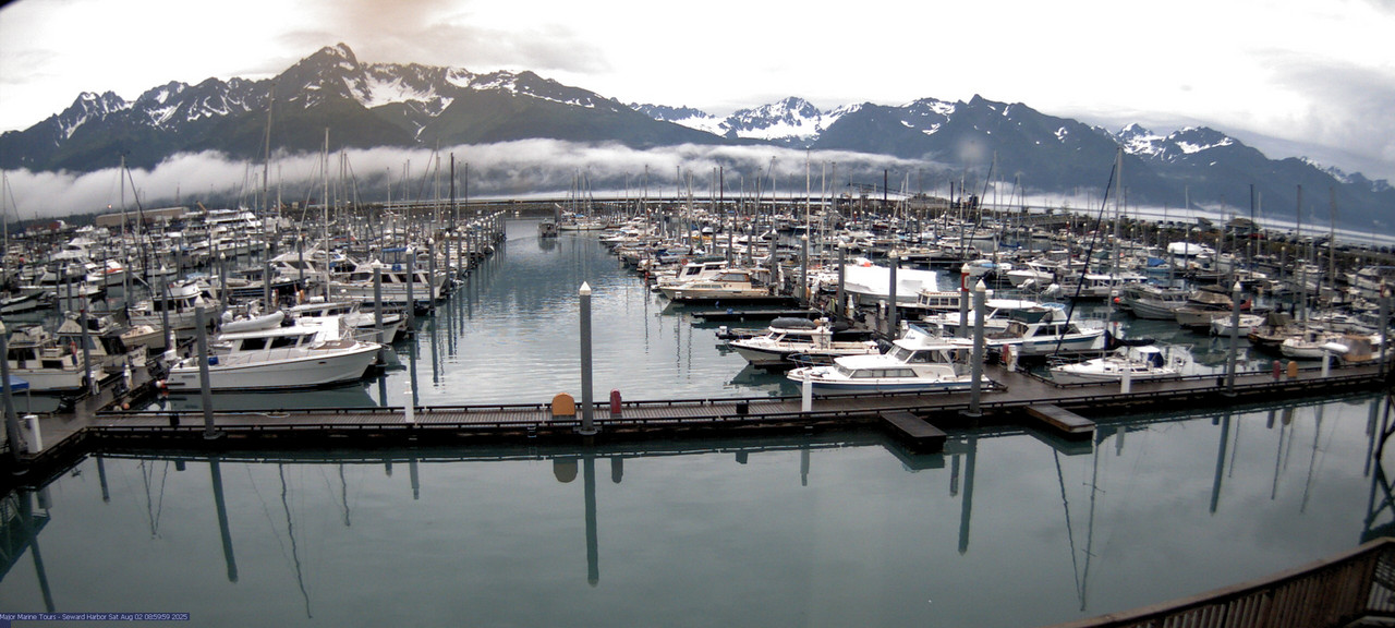 time-lapse frame, Seward Harbor webcam