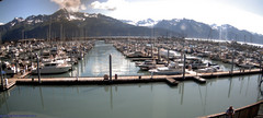 view from Seward Harbor on 2025-08-03