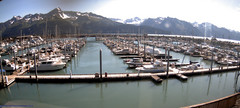 view from Seward Harbor on 2025-08-11