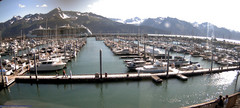 view from Seward Harbor on 2025-08-15
