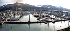 view from Seward Harbor on 2025-08-30