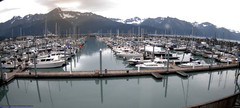 view from Seward Harbor on 2025-08-31