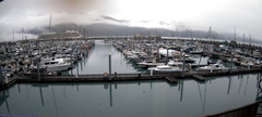 view from Seward Harbor on 2025-09-03