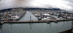 view from Seward Harbor on 2025-09-04