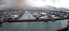 view from Seward Harbor on 2025-09-06