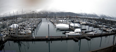 view from Seward Harbor on 2026-04-08