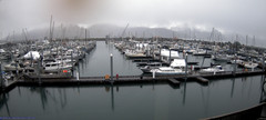 view from Seward Harbor on 2026-05-01