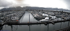view from Seward Harbor on 2026-05-22