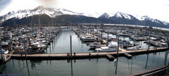 view from Seward Harbor on 2026-06-03