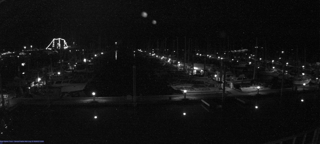 time-lapse frame, Seward Harbor webcam