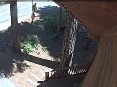 view from Tahoe Woods on 2025-06-09