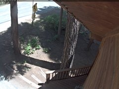 view from Tahoe Woods on 2025-06-16