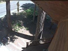 view from Tahoe Woods on 2026-06-09