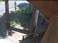 view from Tahoe Woods on 2026-06-18