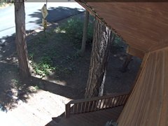 view from Tahoe Woods on 2026-07-20