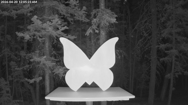 time-lapse frame, Storm Cam webcam