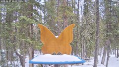 view from Storm Cam on 2026-04-27