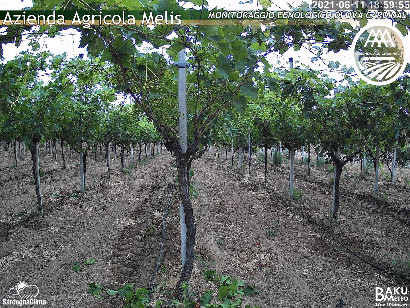 time-lapse frame,  webcam