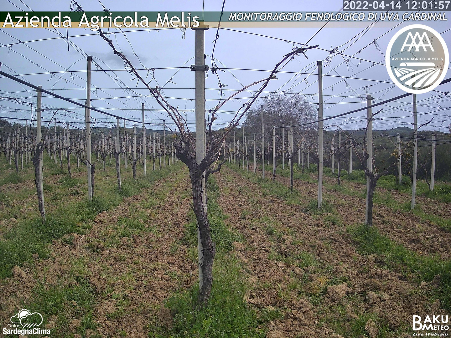 time-lapse frame, 2022 webcam