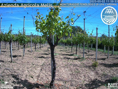 view from Bari Sardo - Fenologica on 2025-05-02
