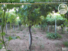 view from Bari Sardo - Fenologica on 2025-07-01