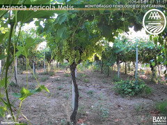 view from Bari Sardo - Fenologica on 2025-07-01