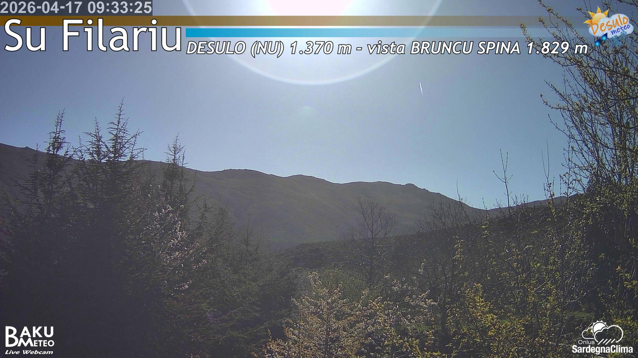 Su Filariu animated GIF