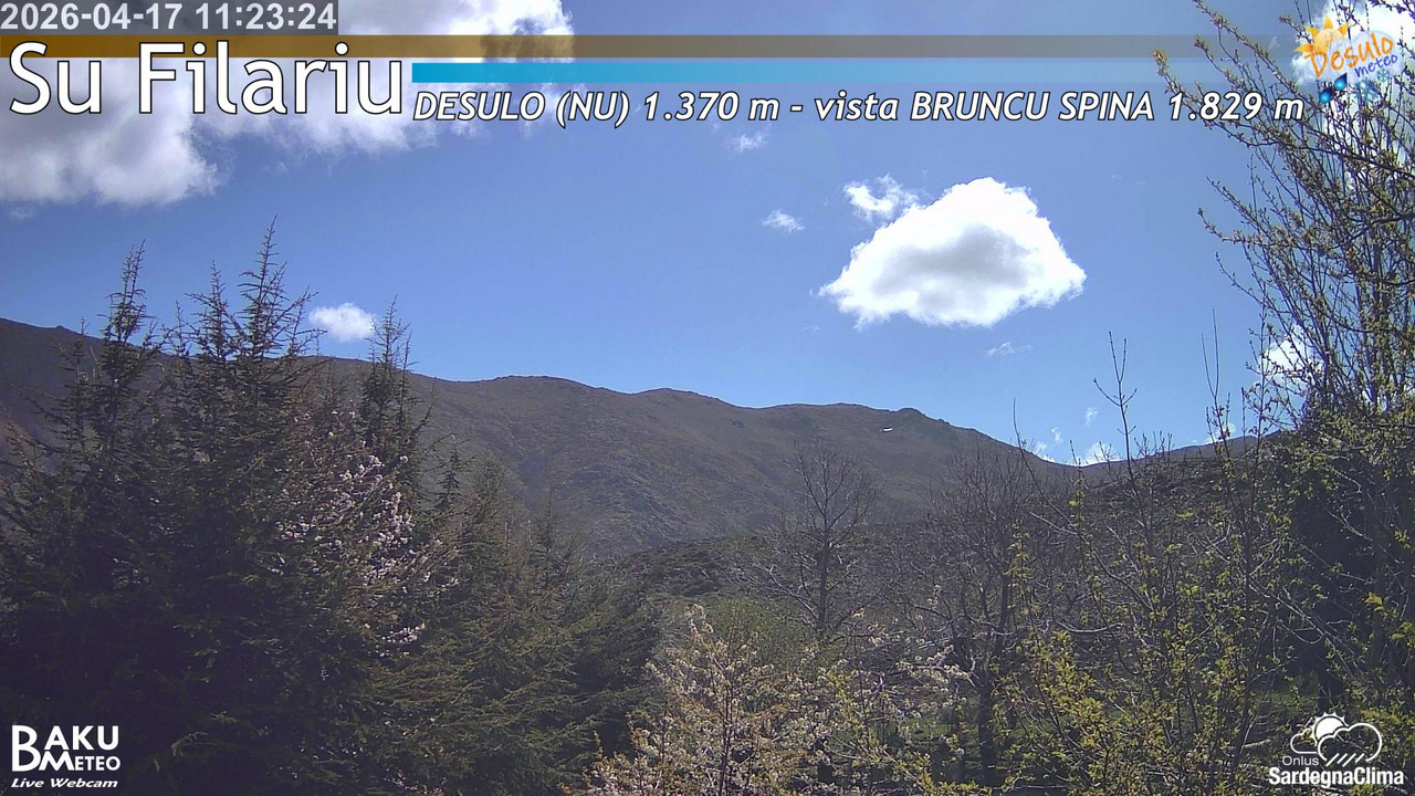 Su Filariu animated GIF