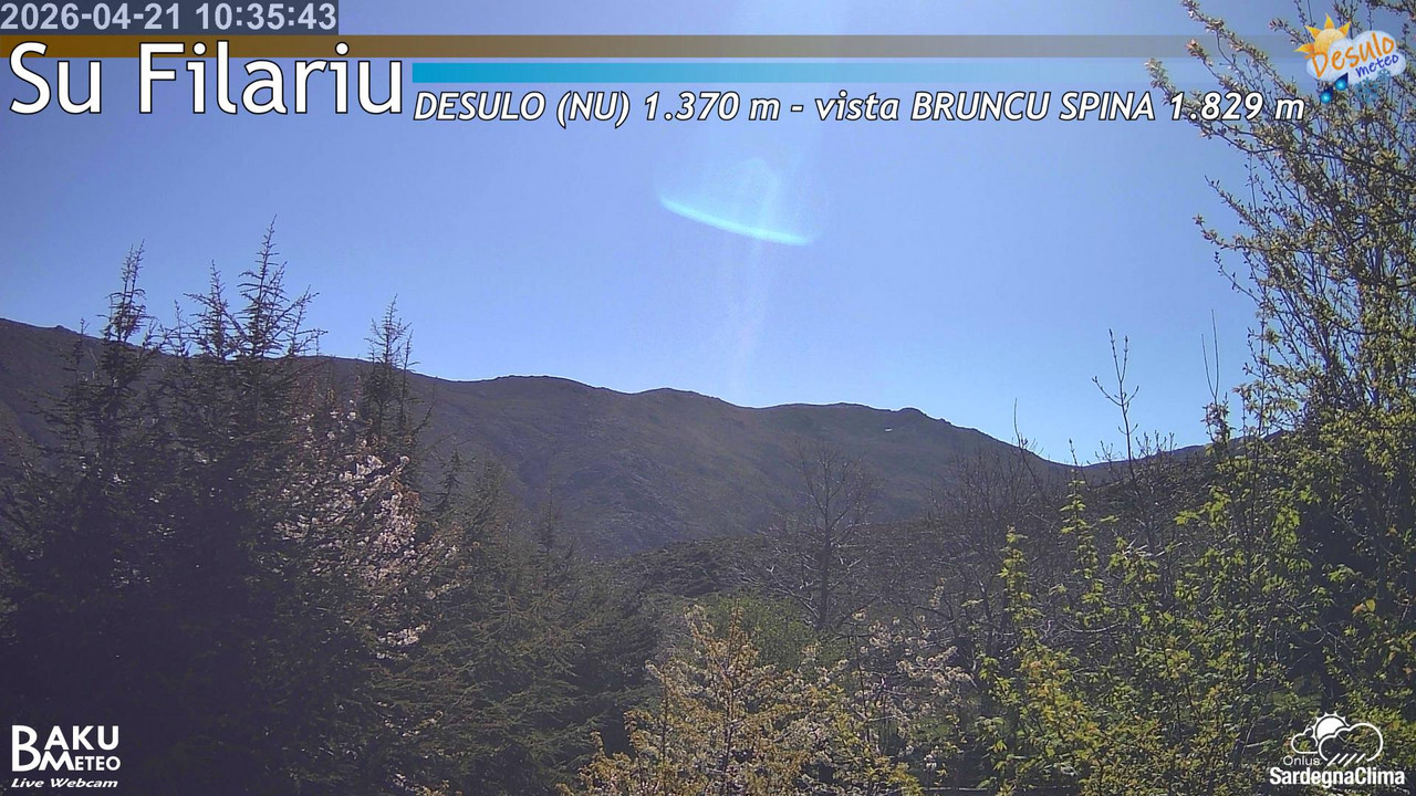 Su Filariu animated GIF