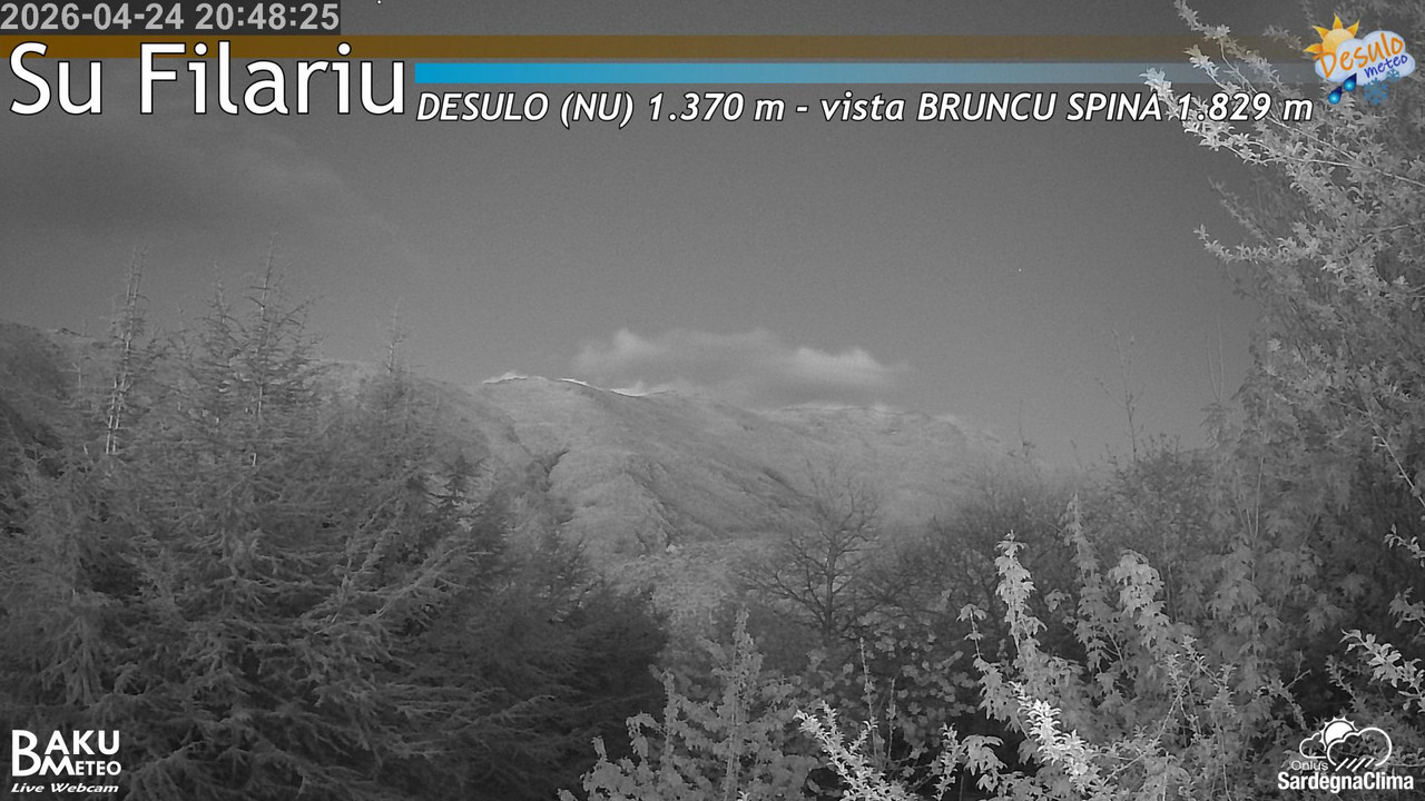 Su Filariu animated GIF