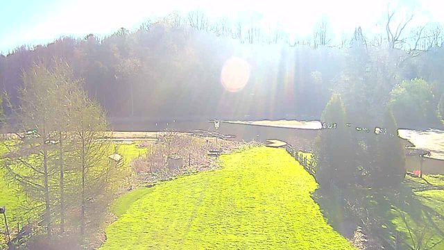 time-lapse frame, YardCam webcam