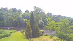 view from YardCam on 2025-07-06