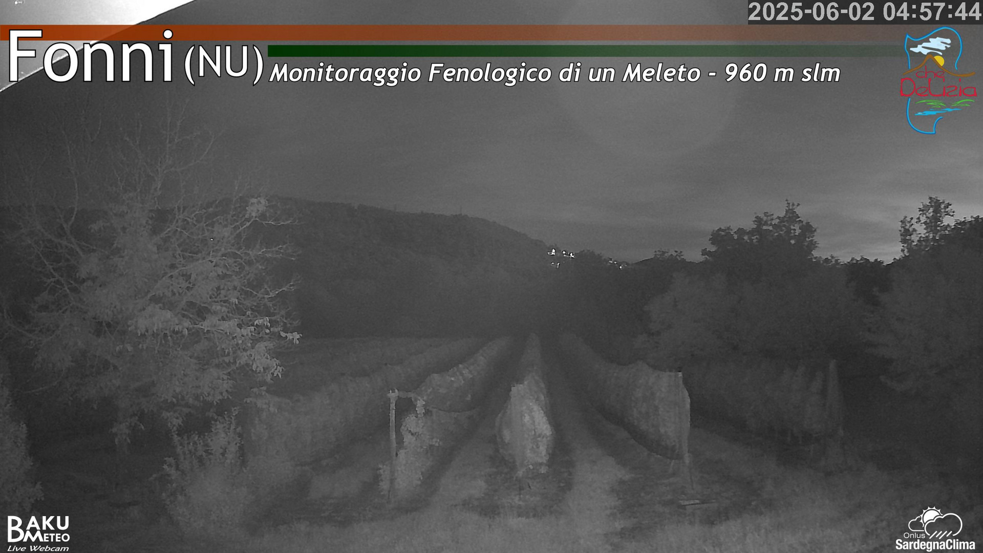time-lapse frame, Fonni Meleto webcam