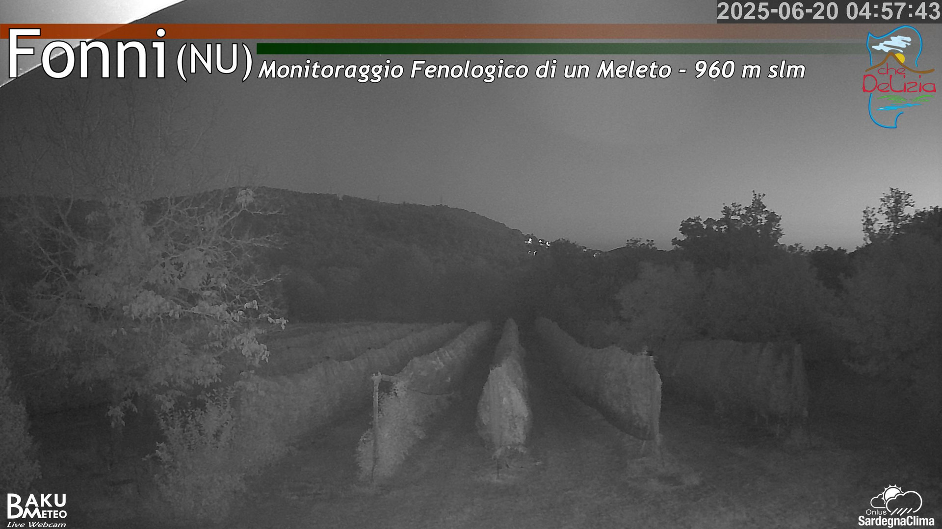 time-lapse frame, Fonni Meleto webcam