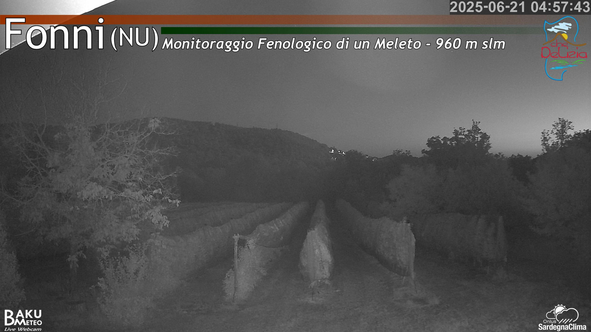 time-lapse frame, Fonni Meleto webcam