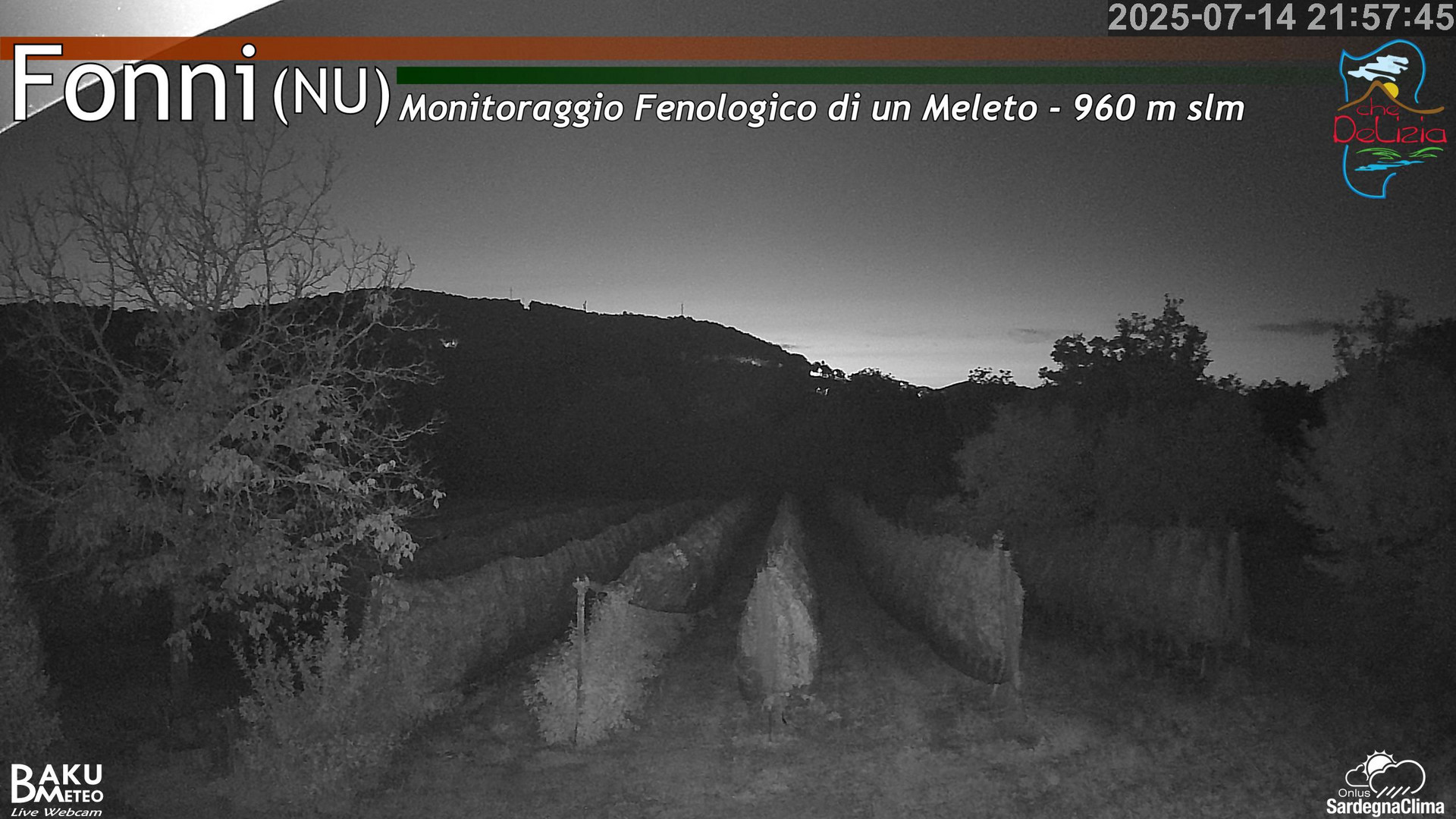 Fonni Meleto animated GIF