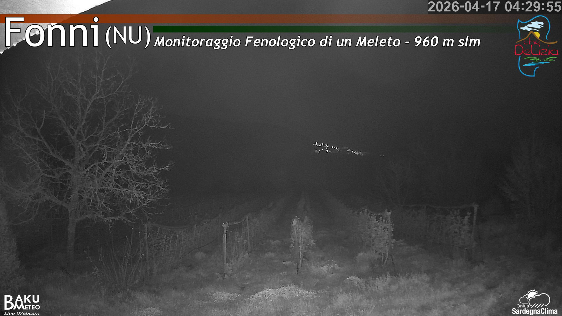 time-lapse frame, Fonni Meleto webcam
