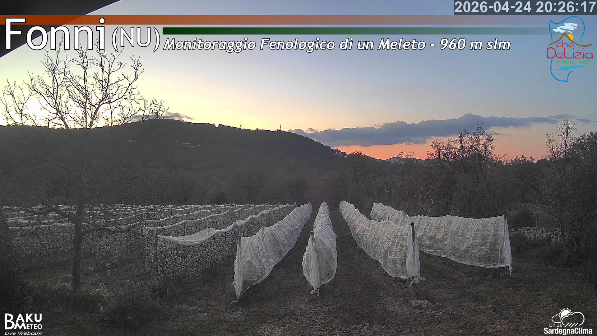 Fonni Meleto animated GIF