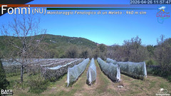 view from Fonni Meleto on 2026-04-26