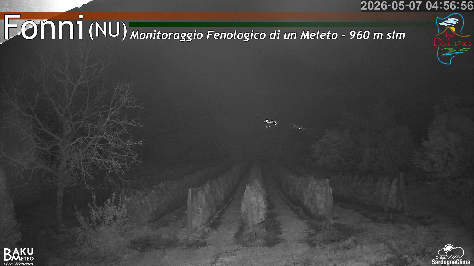 time-lapse frame, Fonni Meleto webcam