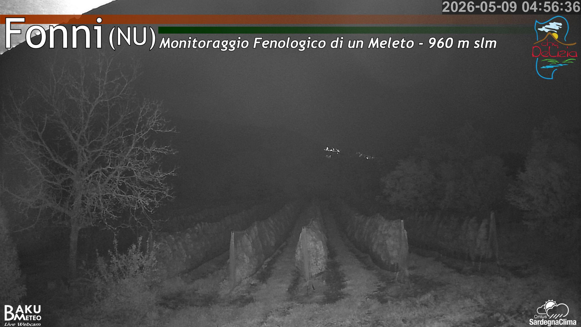 time-lapse frame, Fonni Meleto webcam