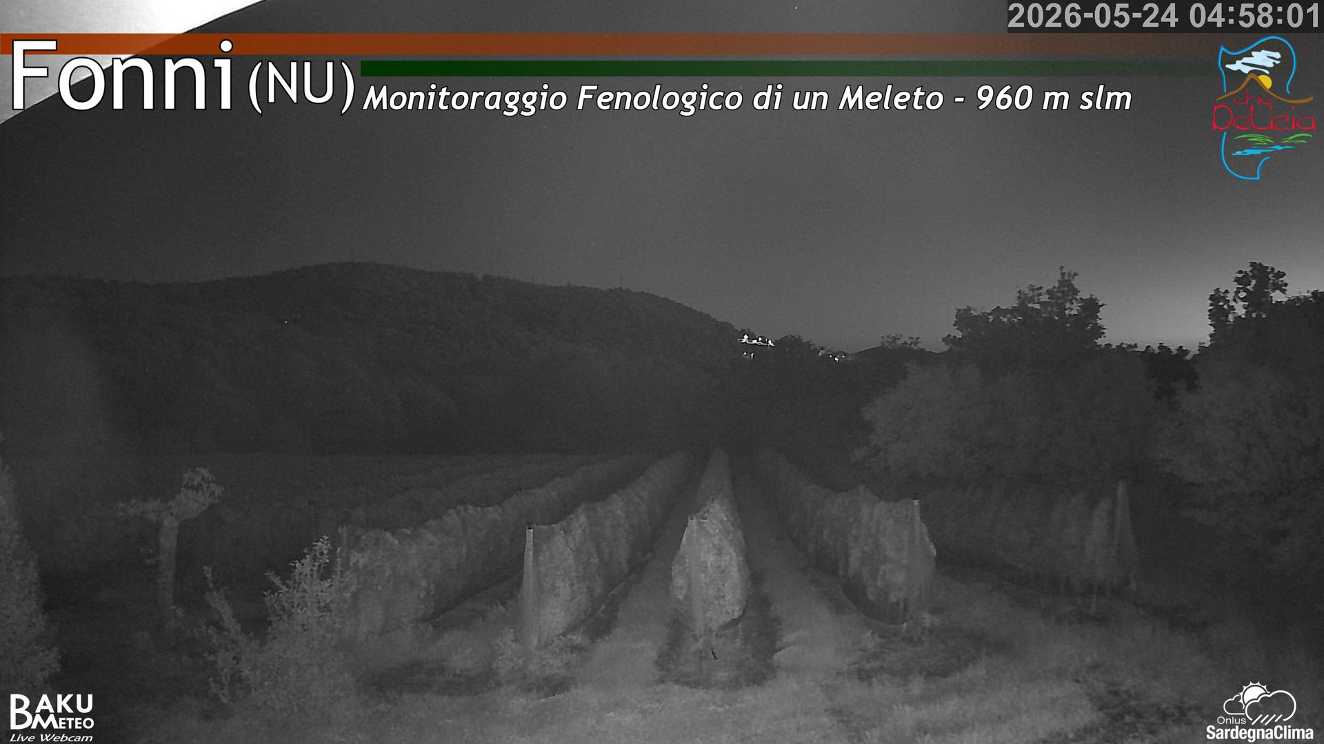 time-lapse frame, Fonni Meleto webcam