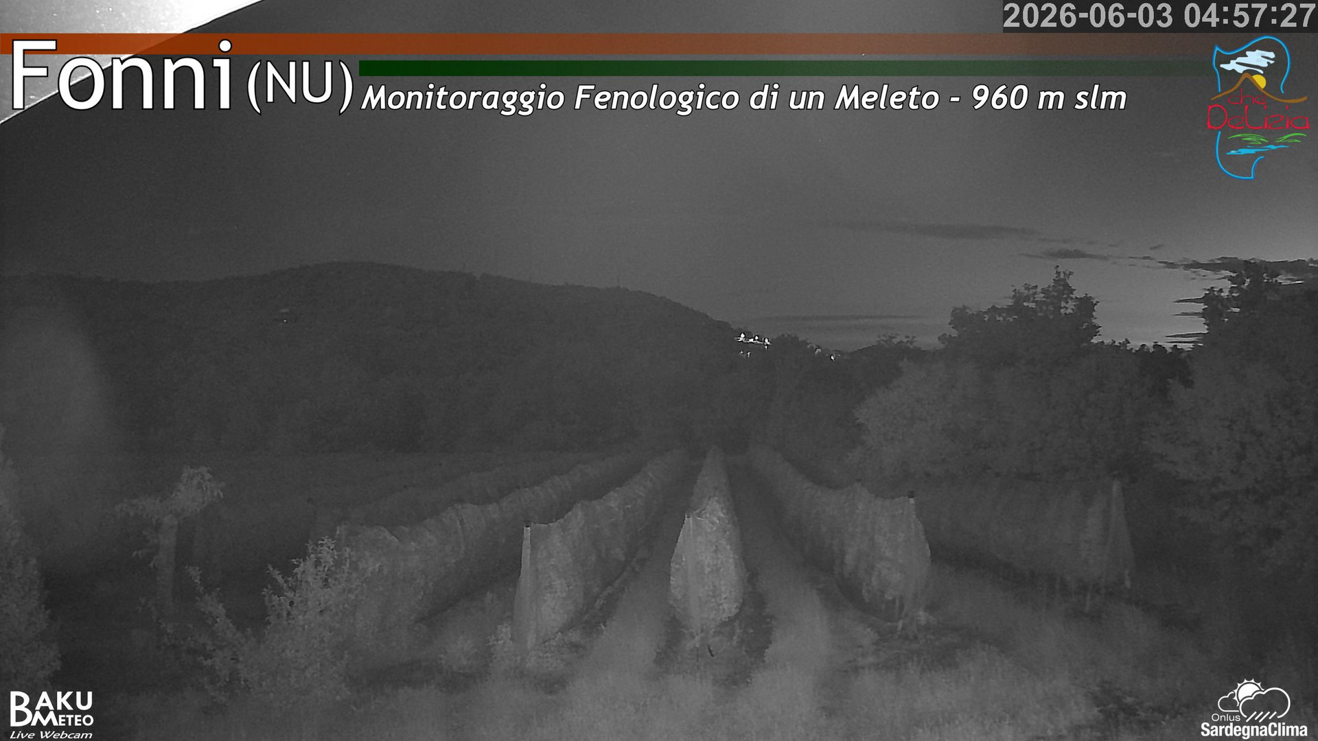 time-lapse frame, Fonni Meleto webcam