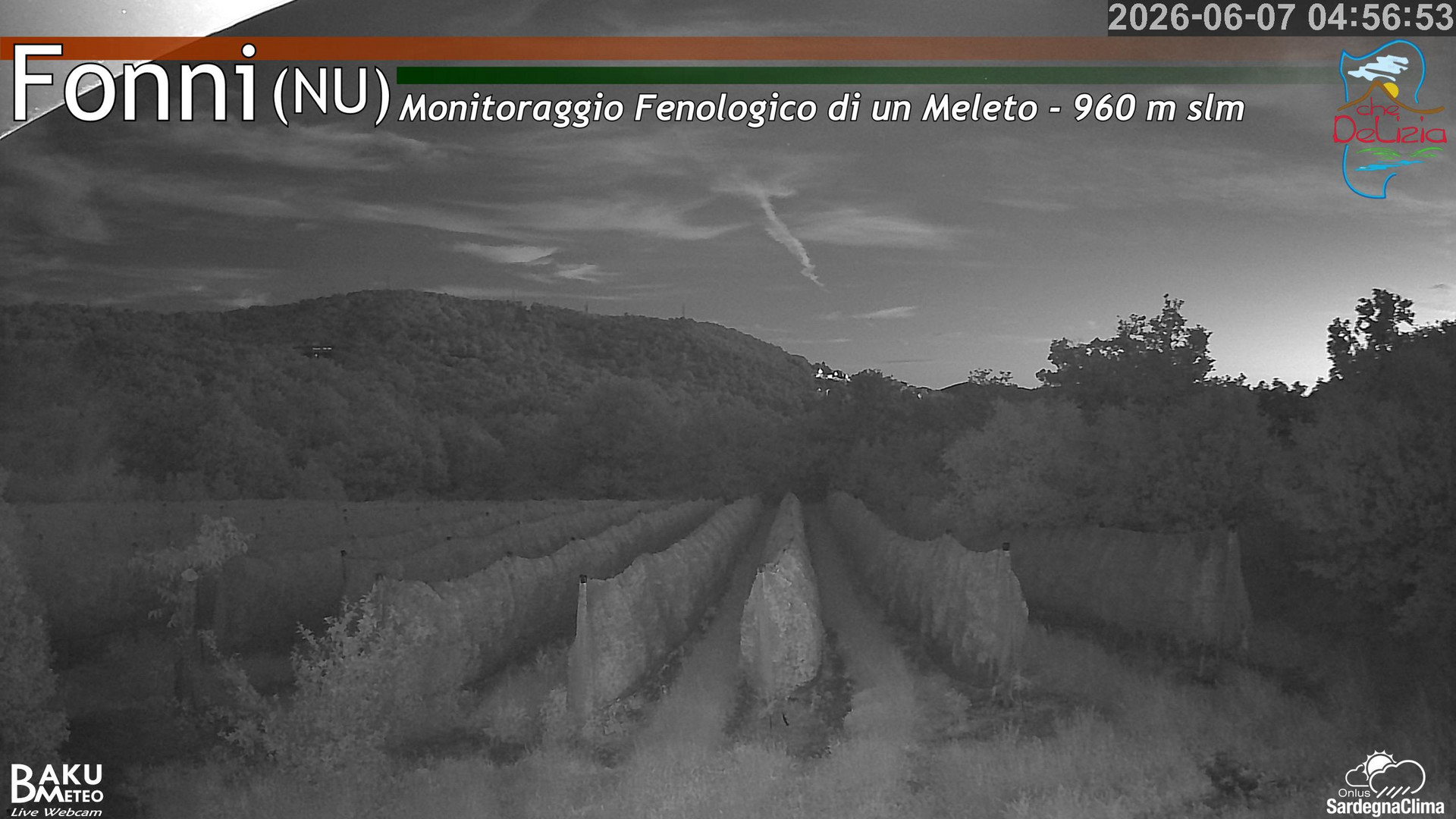 time-lapse frame, Fonni Meleto webcam
