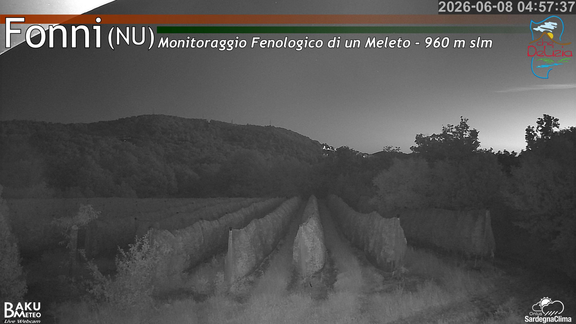 time-lapse frame, Fonni Meleto webcam