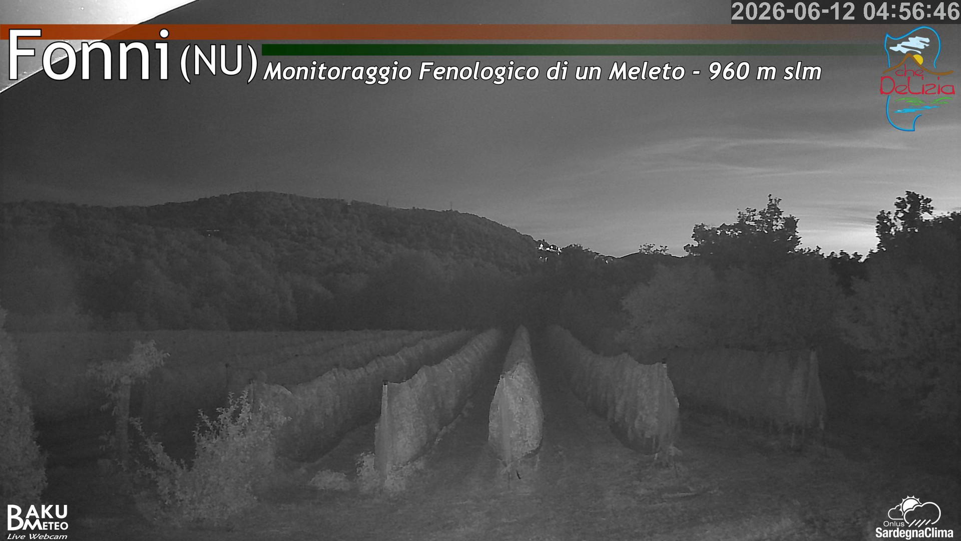 time-lapse frame, Fonni Meleto webcam