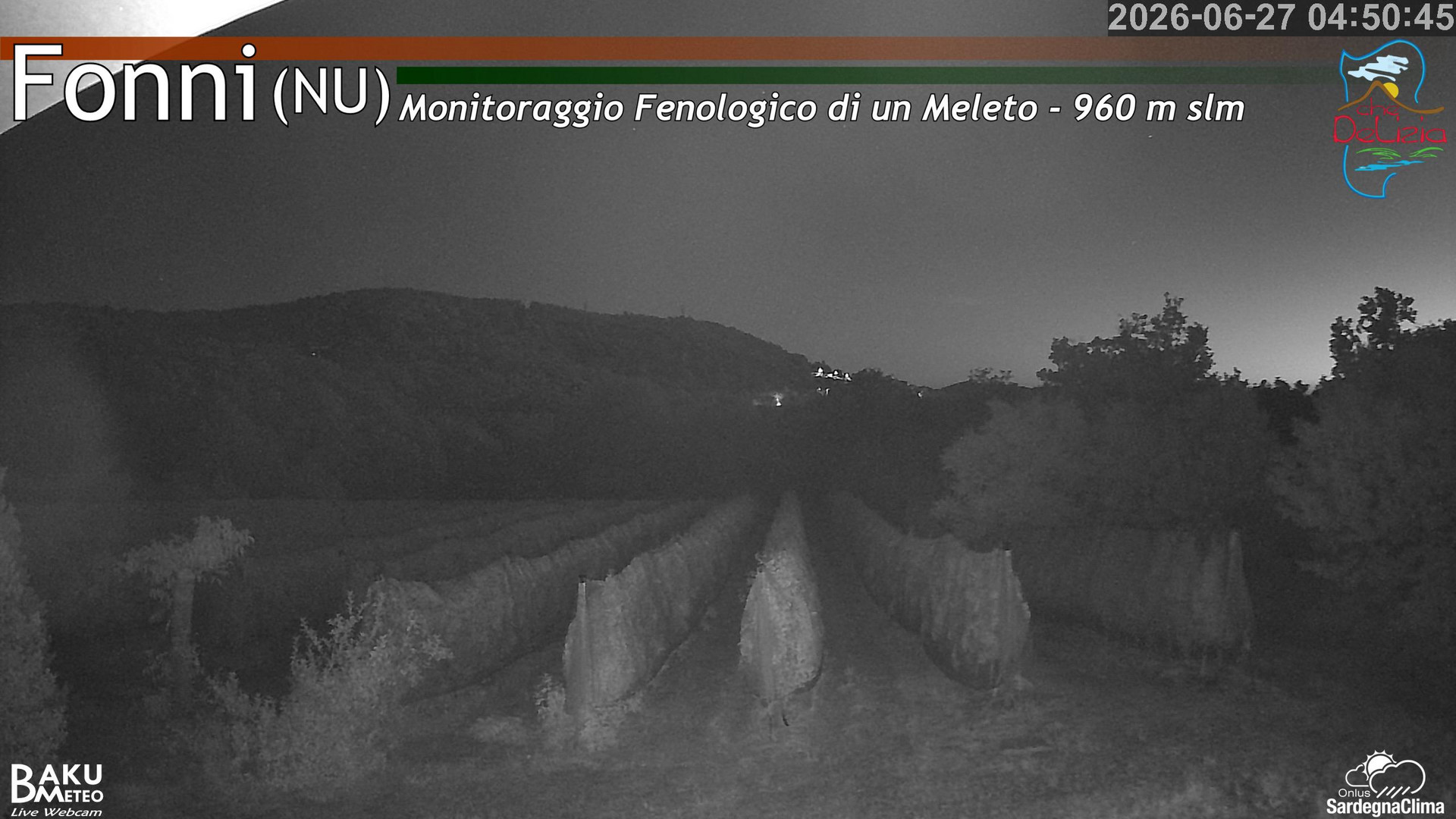 time-lapse frame, Fonni Meleto webcam