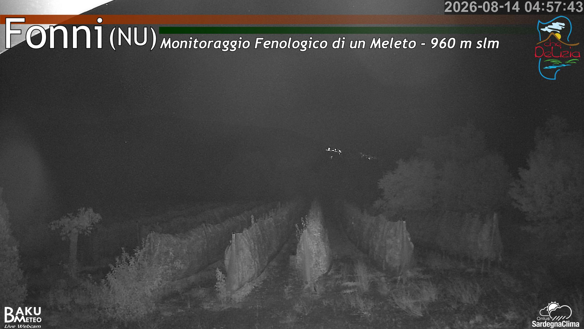 time-lapse frame, Fonni Meleto webcam