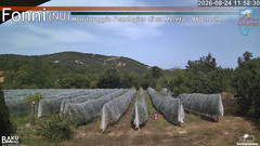 view from Fonni Meleto on 2026-08-24