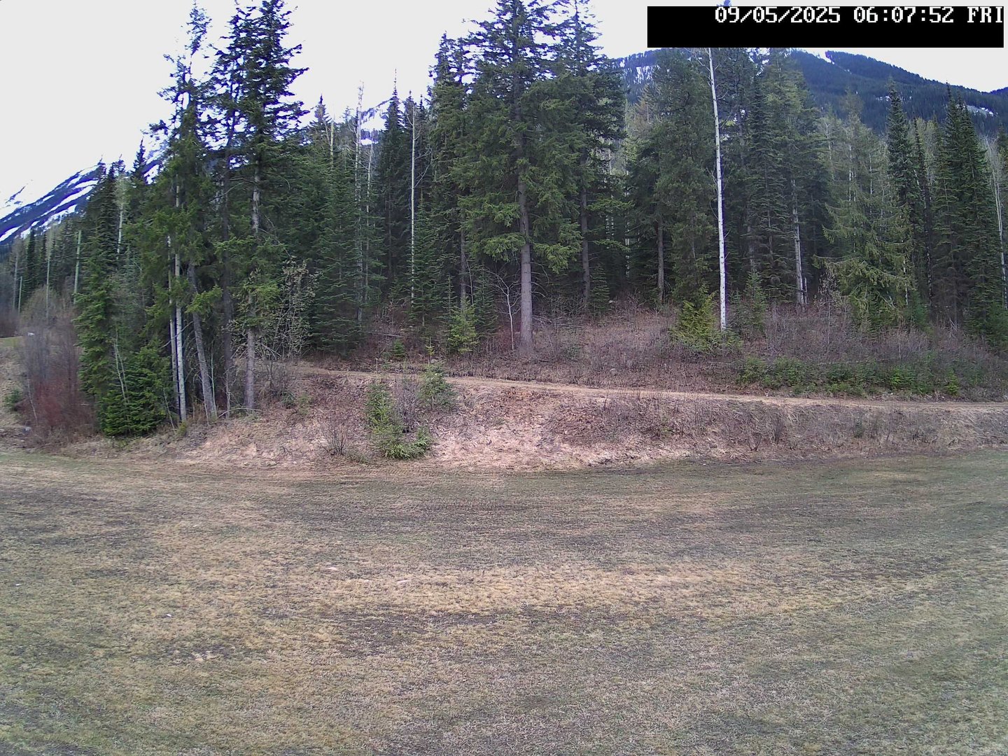 time-lapse frame, Stadium.Cam webcam
